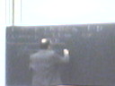 PD Dr. E. Herlt